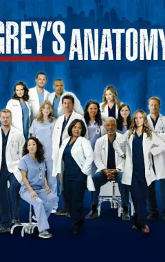 постер Анатомия страсти 14 сезон